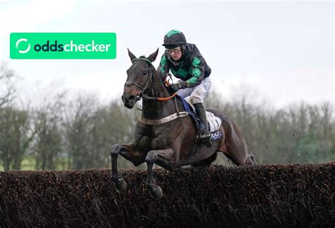 grand national odds william hill|william hill nederland.